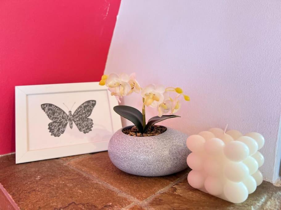 Daire Cozy Fairytal Garden Apartment, Family Friendly, Free Parking, 15 Min To Airport *